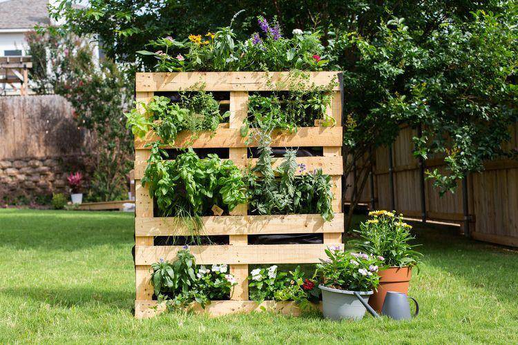 Kebun di belakang rumah. (thespruce.com)