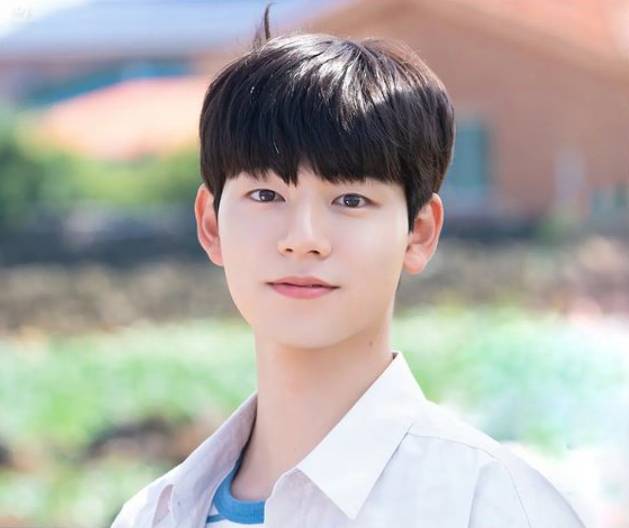 potret Bae Hyun Sung (instagram.com/awesome_ent_official)