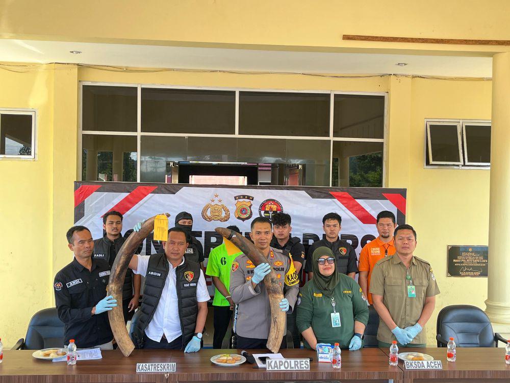 Polisi Tangkap Warga saat Hendak Jual Sepasang Gading Gajah di Aceh