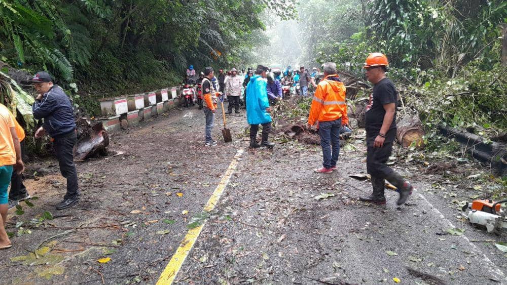 Petugas dan warga membersihkan pohon tumbang di Jalan Raya Manado-Tomohon, Kelurahan Kinilow, Kecamatan Tomohon Utara, Kota Tomohon, Sulawesi Utara, Rabu (26/6/2024). IDNTimes/Dok. BPBD Tomohon