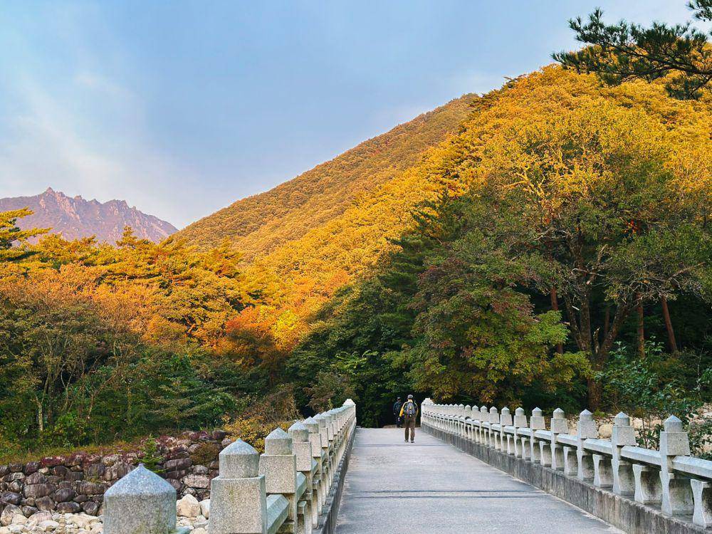 Potret Kota Sokcho (unsplash.com/Alexa Soh)