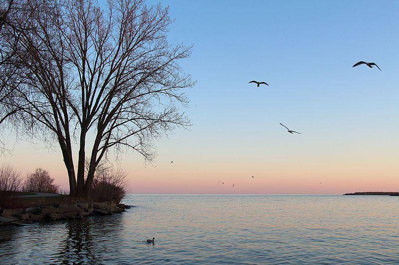 Lake Ontario (commons.wikimedia.org/Keith Pomakis)