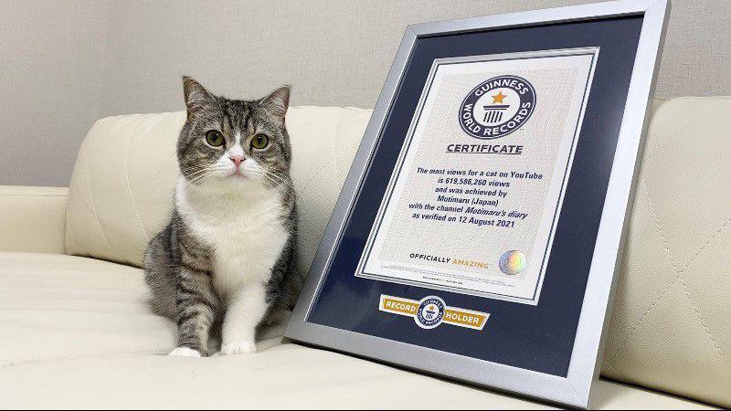 6 Kucing Pemegang Guinness World Record, Layaknya Manusia!