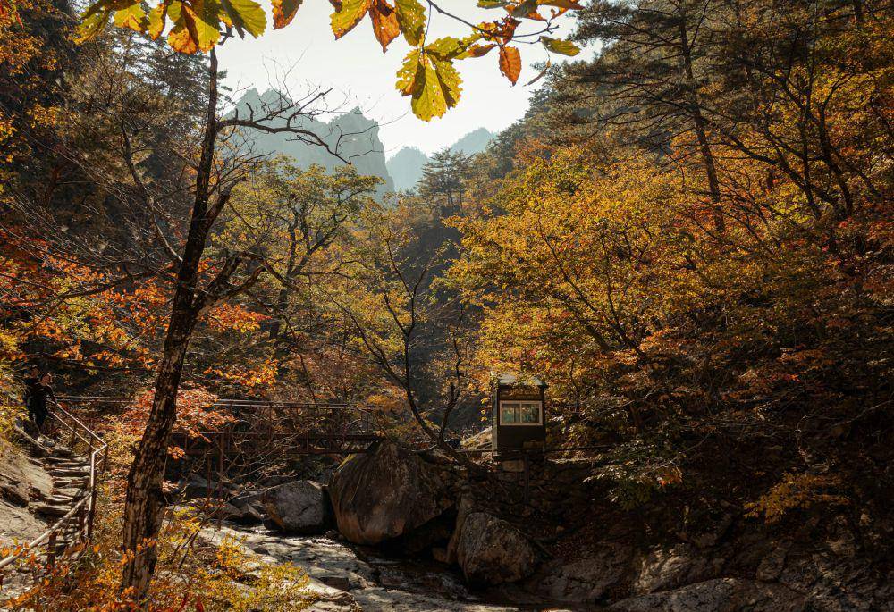 Potret Kota Sokcho (unsplash.com/Perspective Nature)