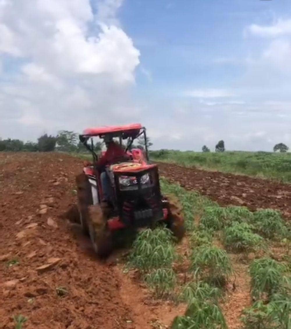Potret penggusuran lahan garapan petani di Kota Baru Lampung (instagram/lbhbandarlampung)