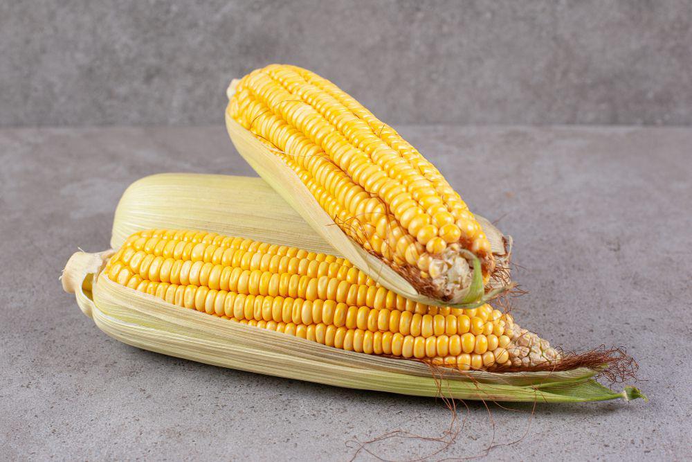 10 Tips Menyimpan Jagung agar Tetap Manis dan Tidak Kering