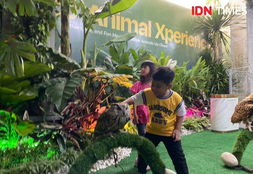 Seru, Ada Animal Xperience di Delipark Mall Medan Mulai Besok