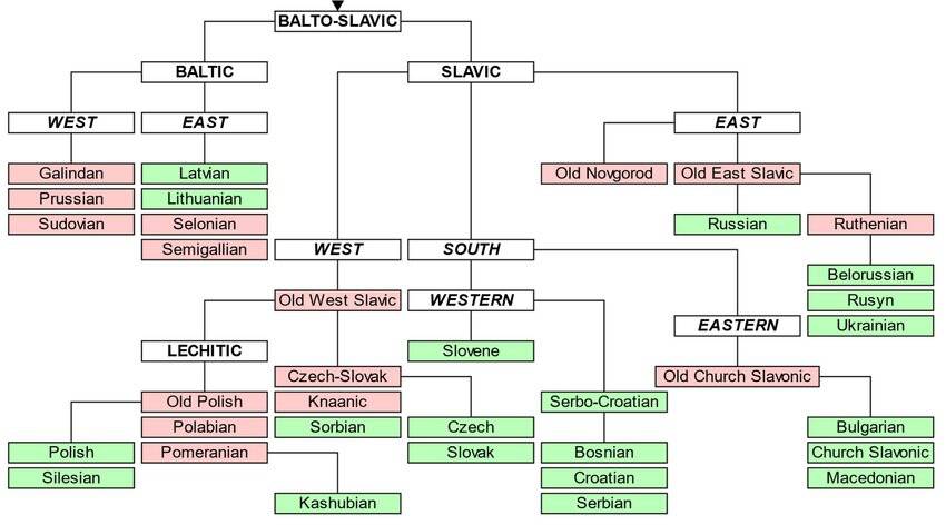 bagan bahasa Slavic disalin dari jurnal Quantifying Complexity: An Object-Relations Approach to Complex Systems (researchgate.net/Stephen-Casey-7)