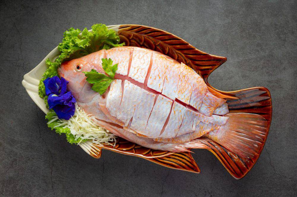 ilustrasi ikan nila (freepik.com/jcomp)