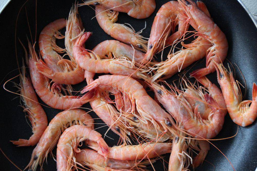 ilustrasi udang (pixabay.com/Leo_65)