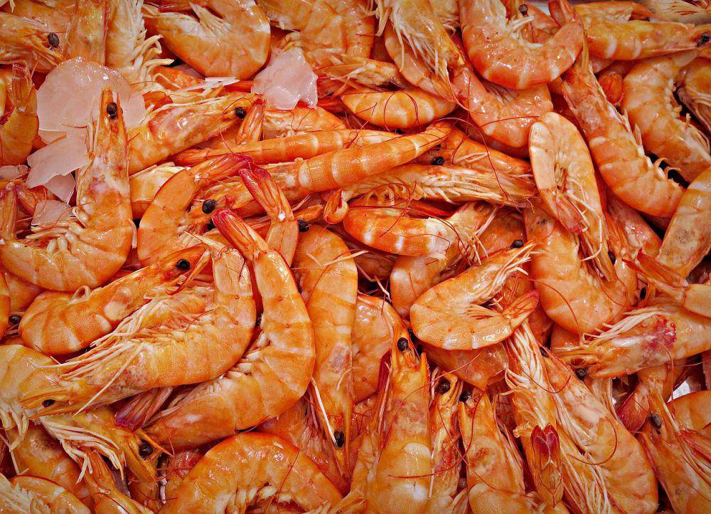 ilustrasi udang (pixabay.com/MabelAmber)