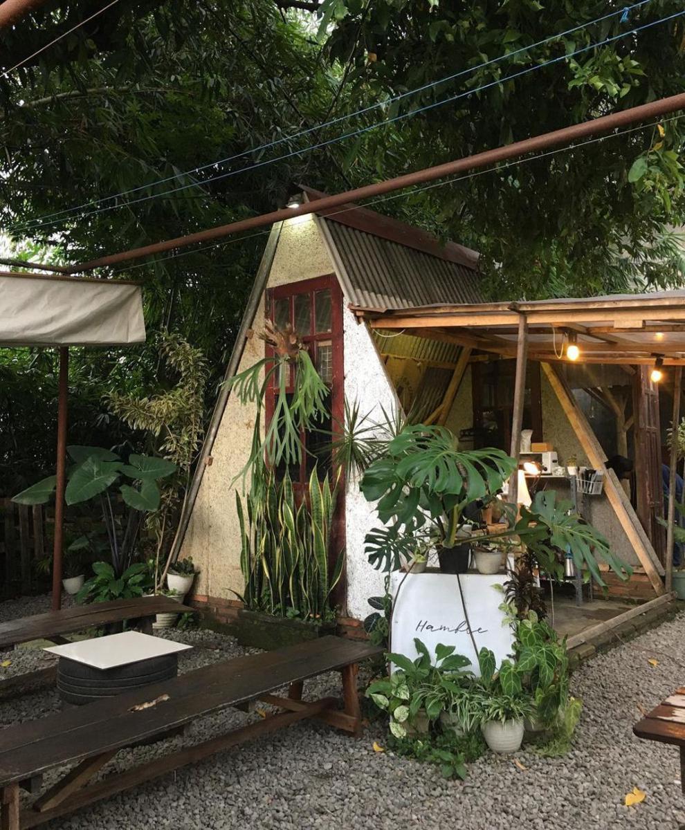 5 Kafe Bernuansa Kebun di Malang, Nyaman buat Nongkrong