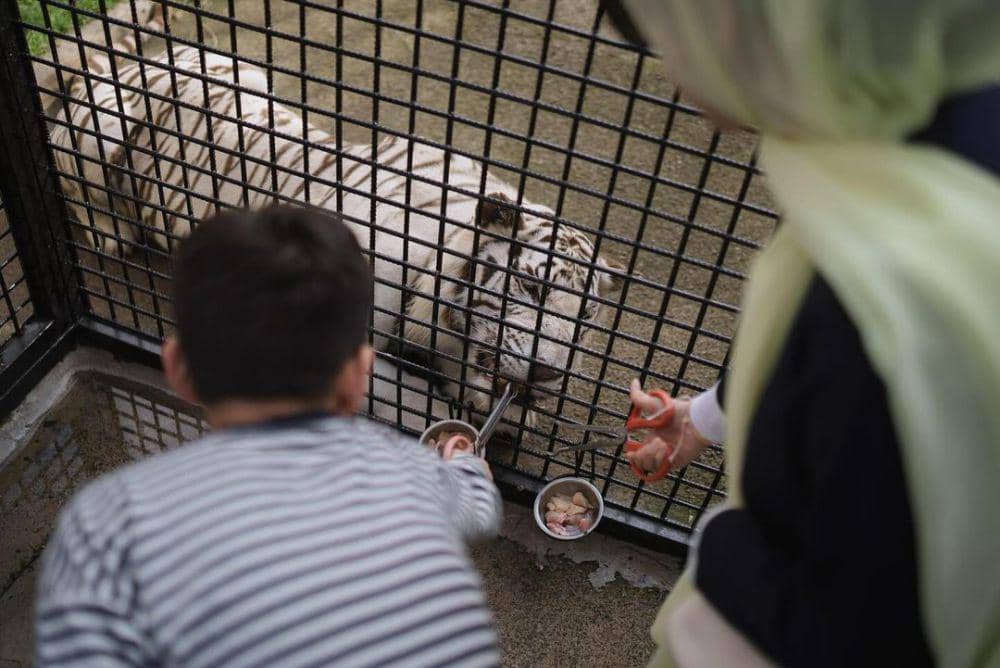 potret keluarga Raffi Ahmad ke Lembang Park Zoo (instagram.com/raffinagita1717)