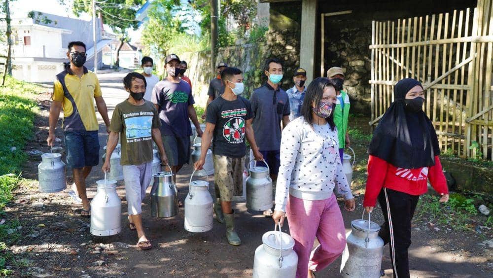 Nestlé juga melakukan ekspansi kerja sama dengan para peternak sapi perah di Jawa Tengah. Susu segar yang dihasilkan para peternak ini akan menjadi pasokan pabrik terbaru Nestlé yang berada di Batang, Jawa Tengah. (Dok/Istimewa)
