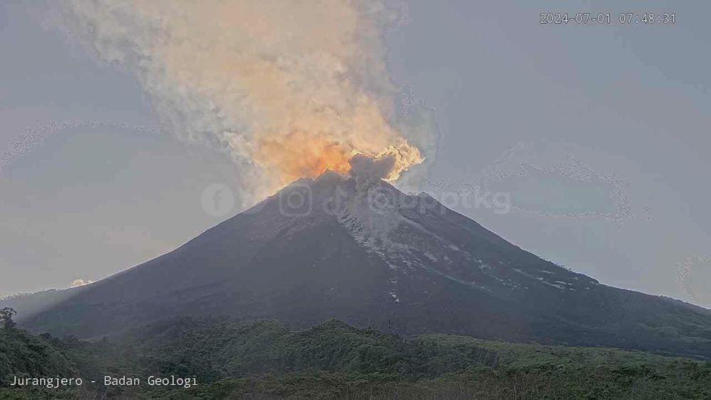 Gunung Merapi Luncurkan Awan Panas Sejauh 1 Km ke Arah Kali Bebeng
