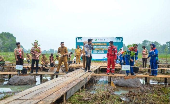 Taman Keanekaragaman Hayati di Area Rawa Kawasan Jakabaring Sport City (JSC) yang bakal jadi lokasi konservasi flora dan rekreasi di Palembang (Dok. Pertamina Kilang Plaju)