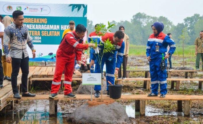 Palembang Bakal Punya Taman Rawa, Area Konservasi Flora di JSC
