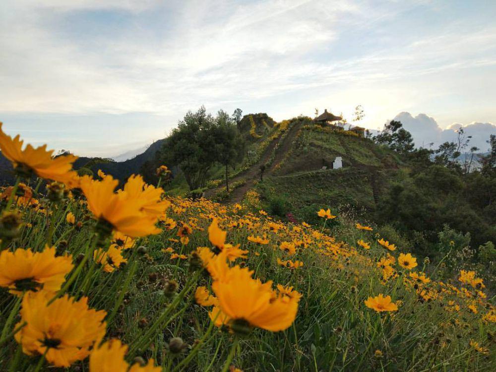 5 Wisata Bukit di Probolinggo dengan Pemandangan Menakjubkan