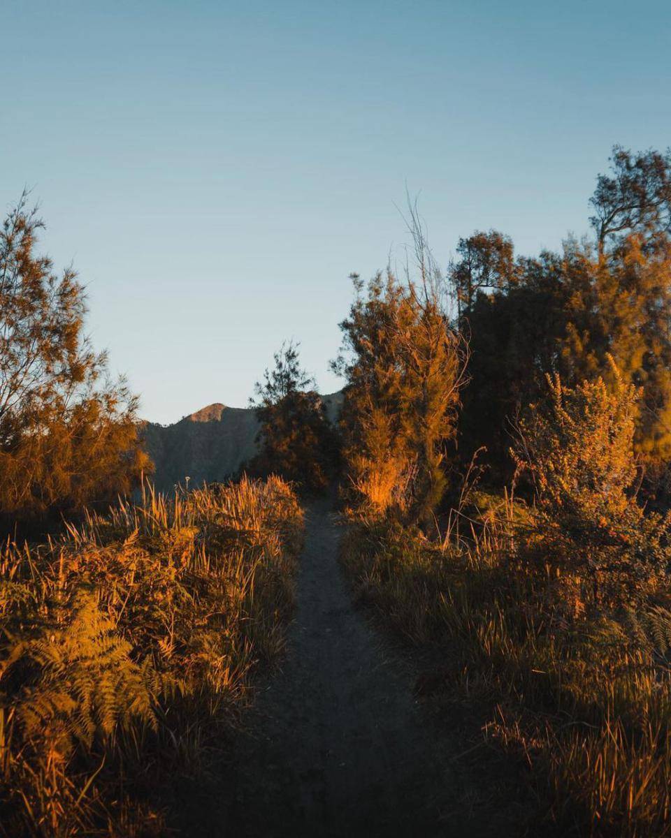 potret Mentigen Hill (instagram.com/lushanef)