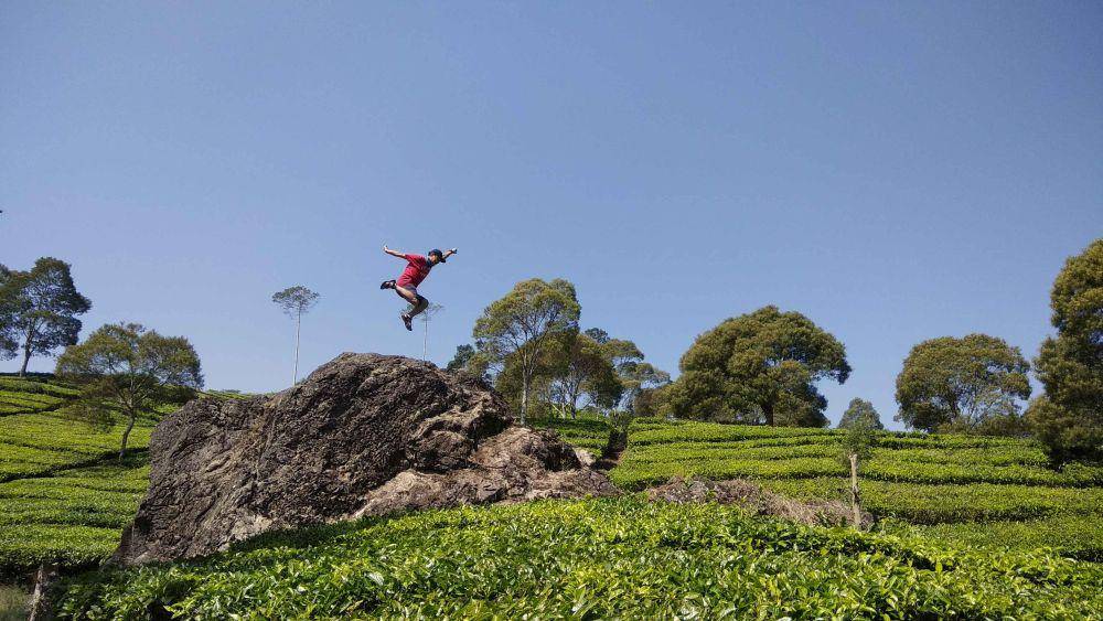 potret Batu Gede di Perkebunan Teh Rancabali (google.com/maps/Sandro Purnama)
