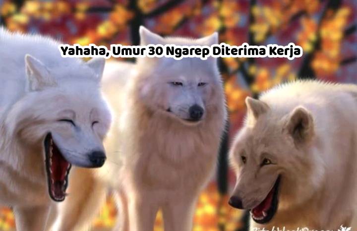 meme batas usia melamar kerja (dok. pribadi/Iip Afifullah)