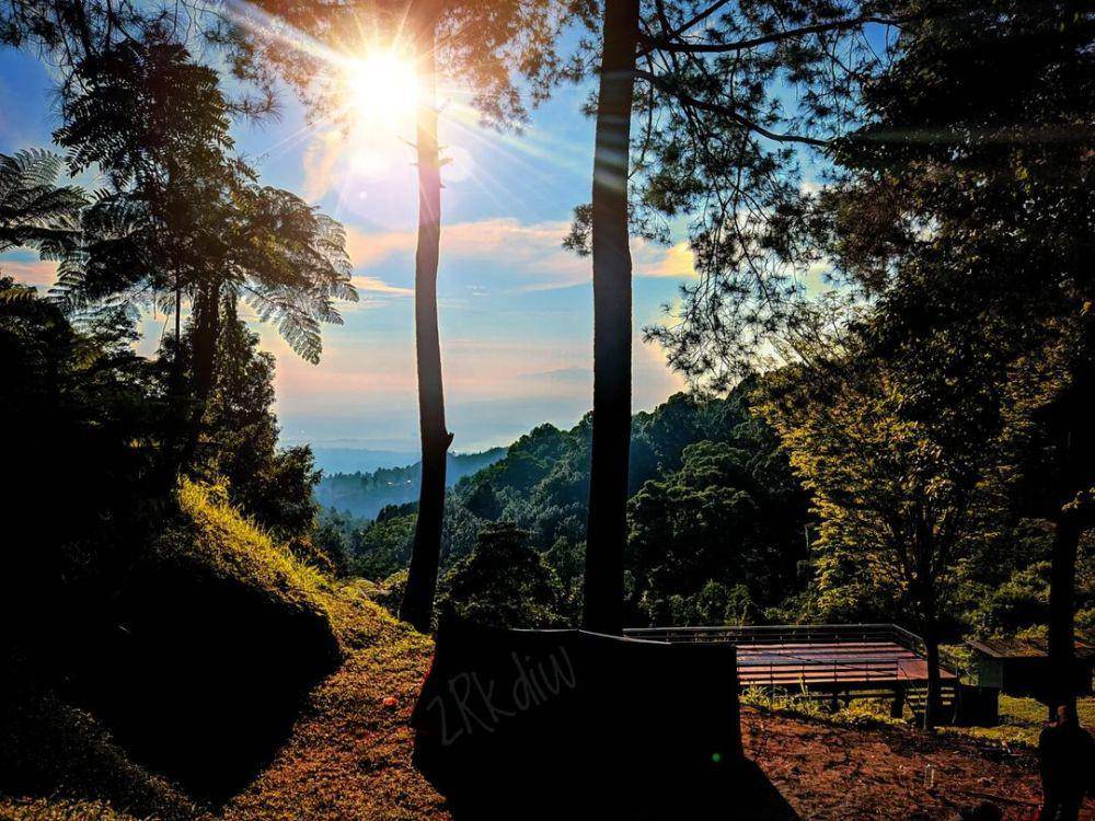 Taman Nasional Gunung Halimun Salak (instagram.com/zr_ramdani234)