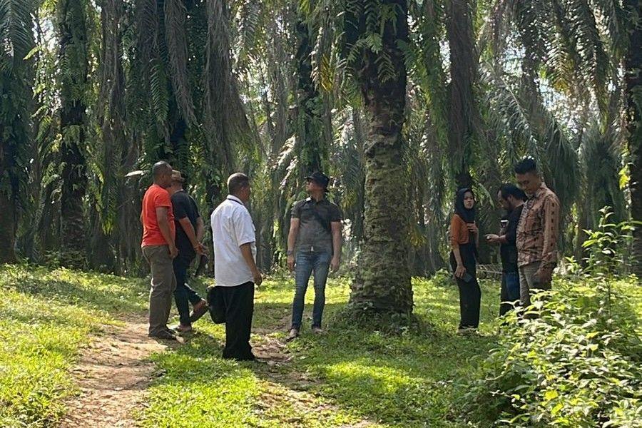 2 Perempuan Ditodong Pistol dan Parang di Tengah Perkebunan
