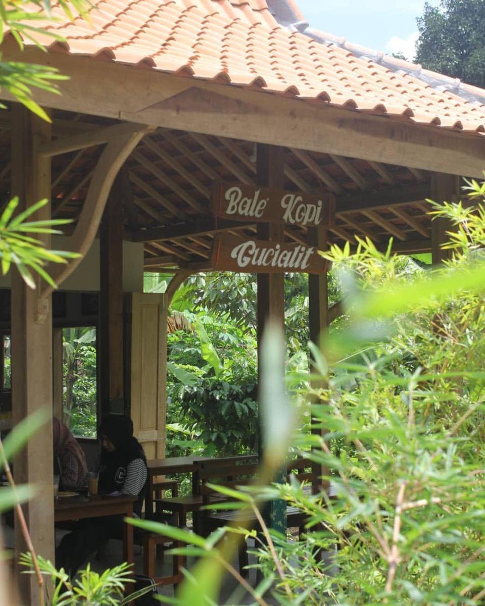 5 Rekomendasi Cafe Hits di Lumajang, Asyik buat Nongkrong