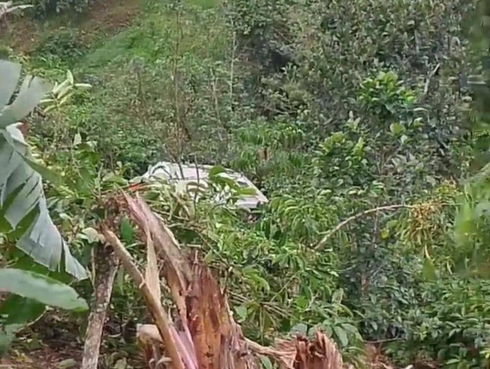 Insiden kecelekaan bus masuk ke dalam jurang kembali terjadi di Kabupaten Lampung Barat. Kali ini menimpa Bus Ranau Indah di Jalan Lintas Sumatera (Jalinsum) Pekon Simpang Sari,