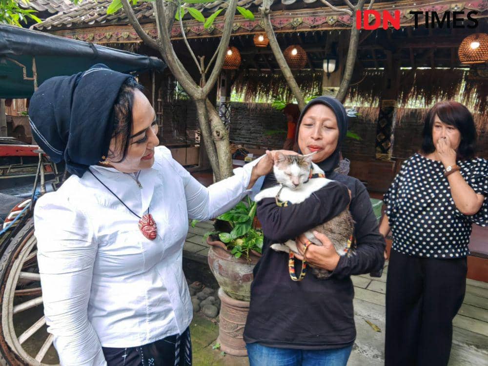 Bakal Calon (Balon) Walikota Solo, Diah Warih Anjari bersama komunitas kucing. (IDN Times/Larasati Rey)