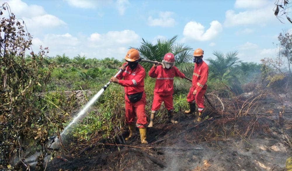 Proses pemadaman karhutla di lahan gambut di kawasan Sungai Rengit Banyuasin (Dok: Manggala Agni)