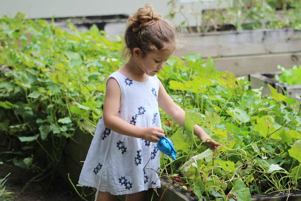 Ilustrasi anak berkebun (pexels.com/maggiemyphotosalbum