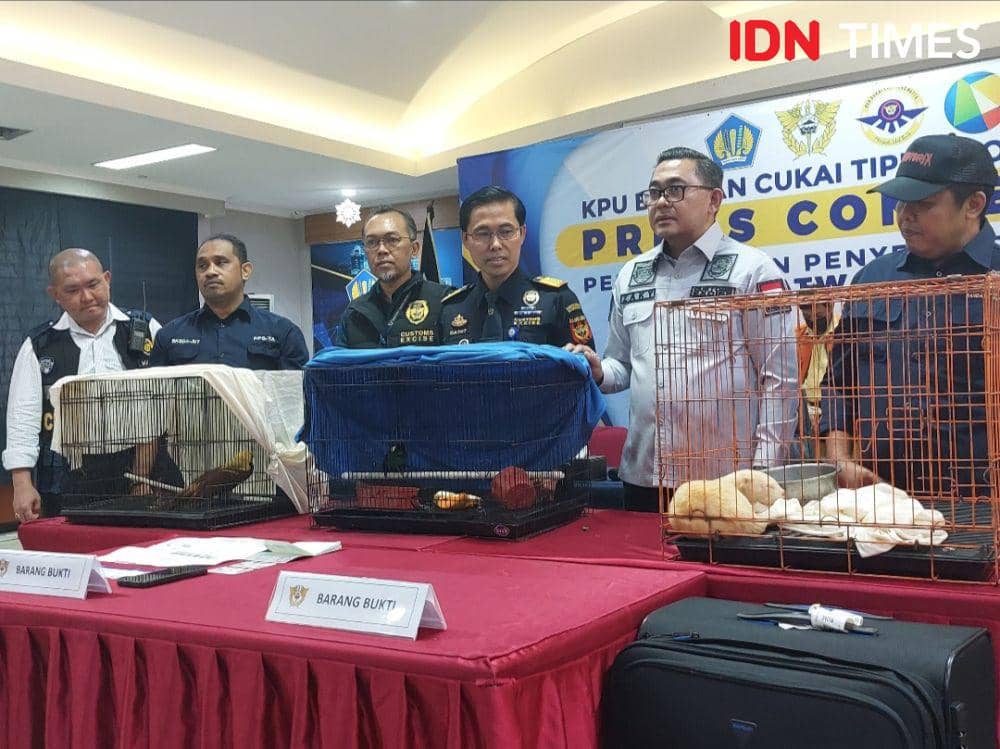 Selundupkan Satwa Langka Indonesia, Produser Film Bollywood Ditangkap