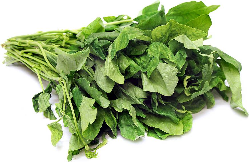 Ilustrasi daun kacang panjang (specialtyproduce.com)