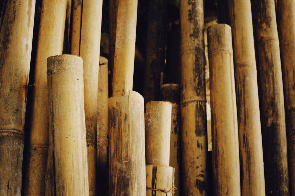 potongan bambu(pexels.com/Alexey Demidov)