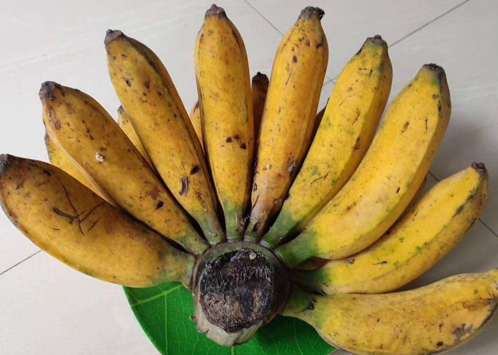ilustrasi pisang raja bulu (instagram.com/abahhheerii)