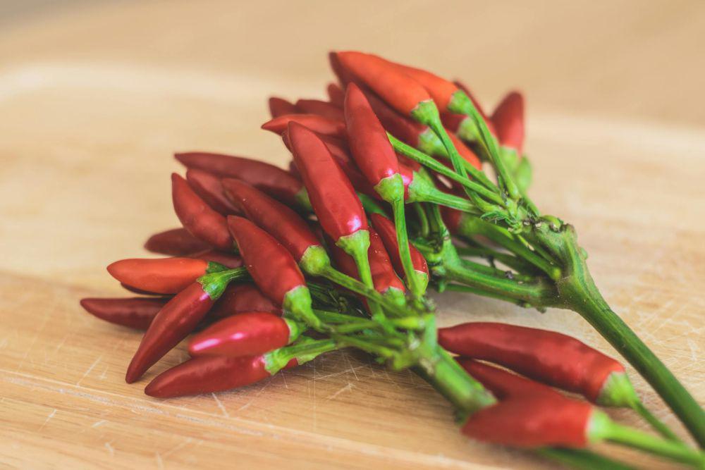 Harga Cabai Rawit di Mataram Tembus Rp55 Ribu per Kg