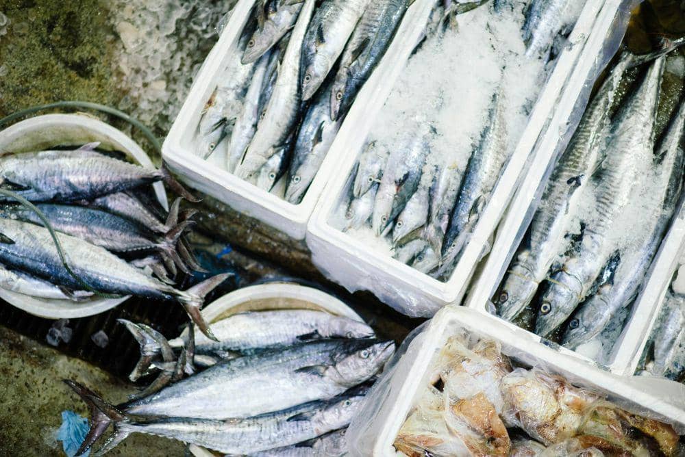 5 Fakta Menarik dari Ikan Cod, Bisa Berkamuflase! | IDN Times