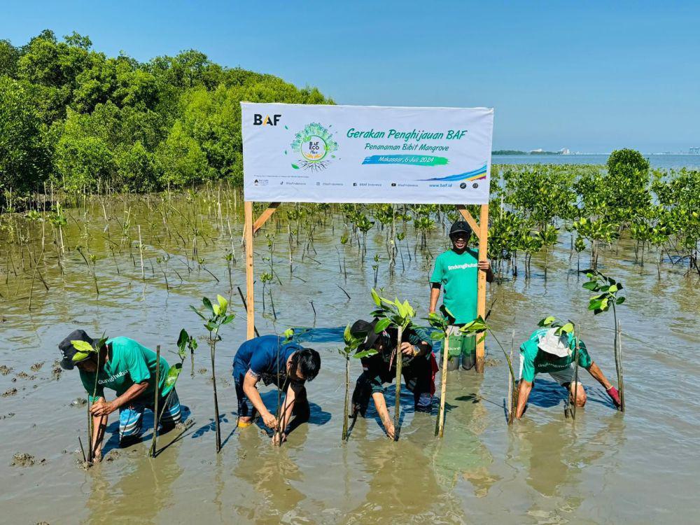 BAF Tebar 20 Ribu Bibit Mangrove Serentak di Lima Daerah