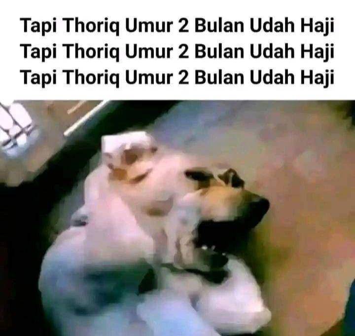 meme haji sejak kecil (instagram.com/rbim_meme)