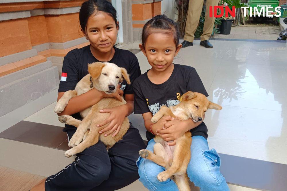 Pemerintah Menargetkan Bali Bebas Rabies 4 Tahun Mendatang