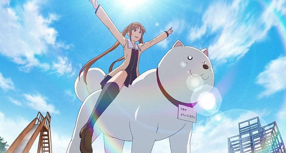 cuplikan dari anime Aho Girl (2017) (dok. Diomedéa/Aho Girl)
