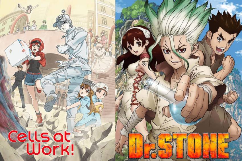 Cells at Work! (dok. David Production/Cells at Work!) | Dr. Stone (dok. TMS Entertainment/Dr. Stone)