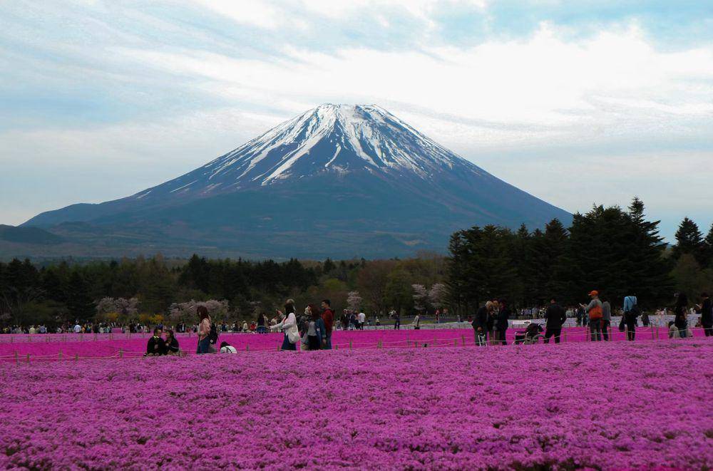 ilustrasi mount Fuji (unsplash.com/Athanasia Andrikopoulos)