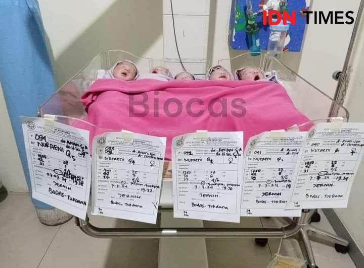 Ibu di Indramayu Melahirkan Bayi Kembar 5, Fenomena Langka