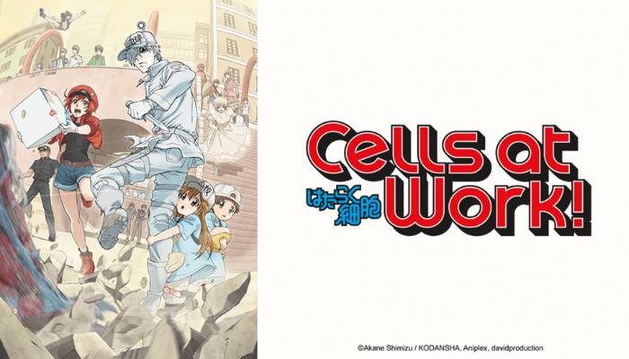 Cells at Work! (dok. David Production/Cells at Work!)