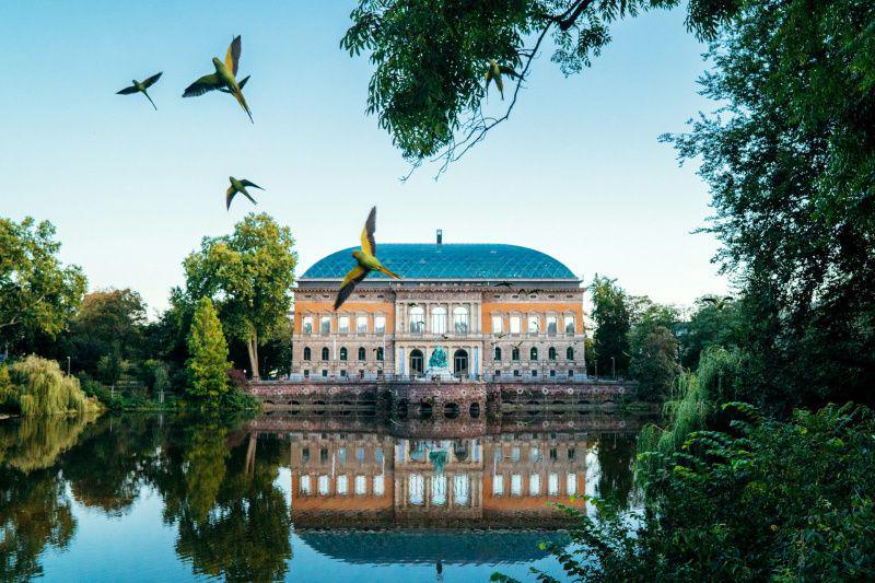 5 Rekomendasi Tempat Wisata di Dusseldorf, Banyak yang Gratis!