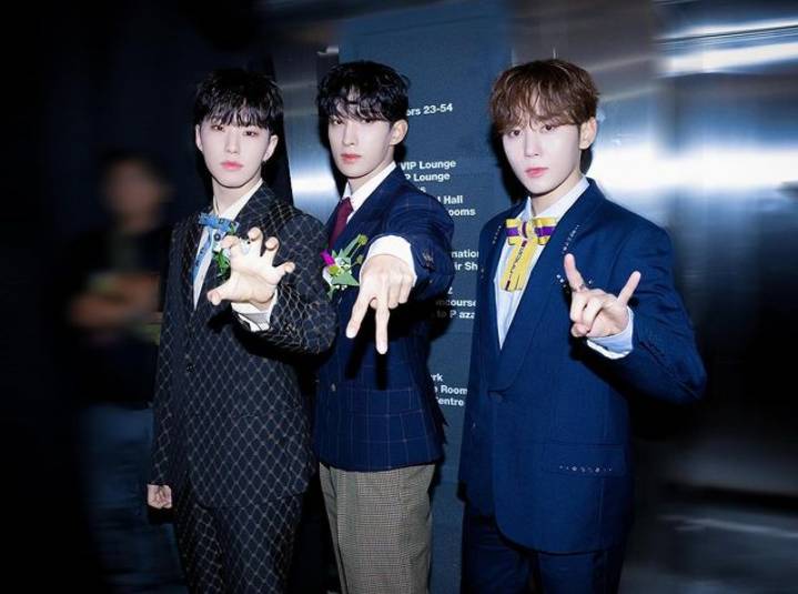 potret BSS SEVENTEEN (instagram.com/pledis_boos)