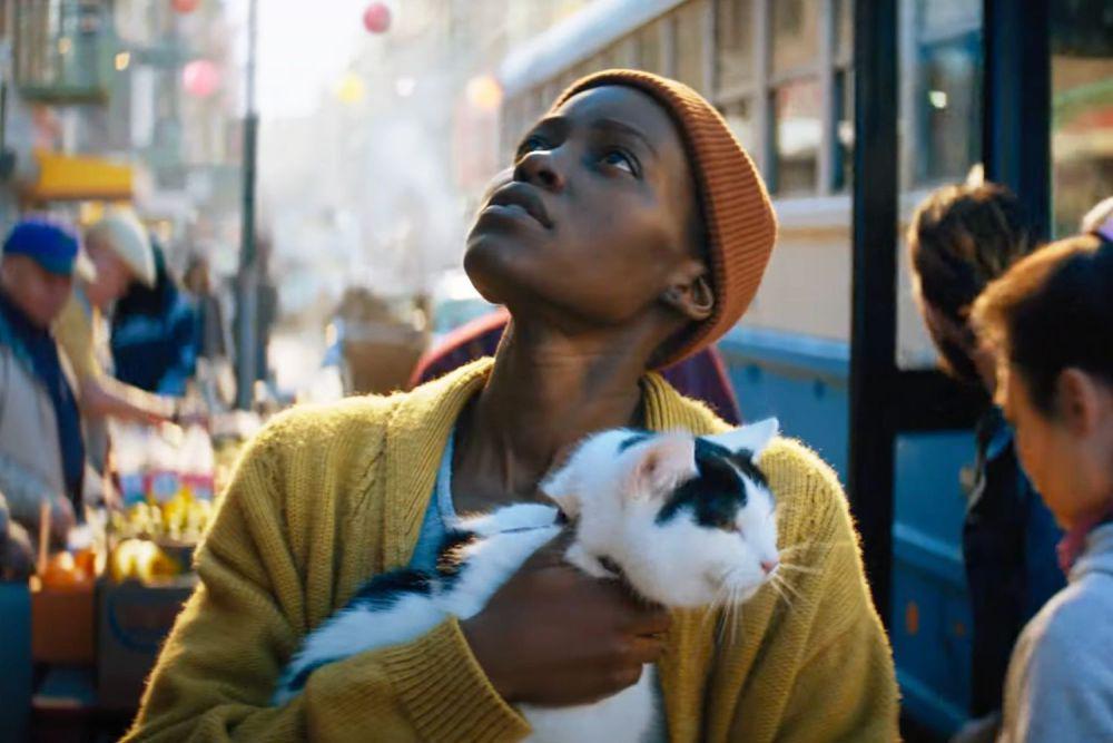 5 Kucing Paling Ikonik di Film Hollywood, Jago Akting!