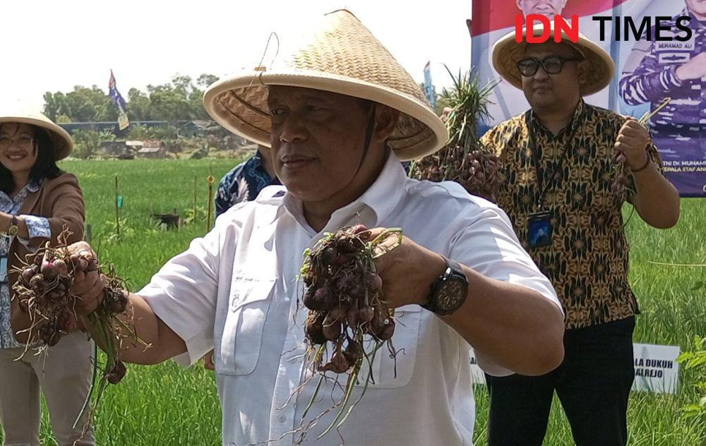 Harga Bawang Merah Melorot, Petani di Bantul Masih Untung